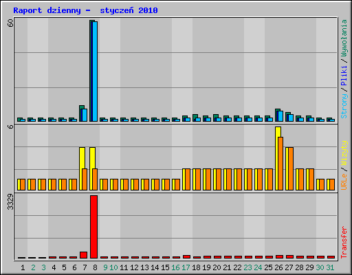 Raport dzienny -  stycze� 2010