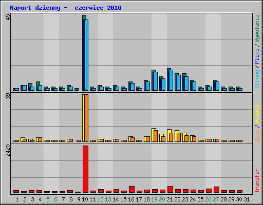Raport dzienny -  czerwiec 2010