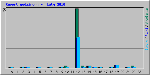 Raport godzinowy -  luty 2010
