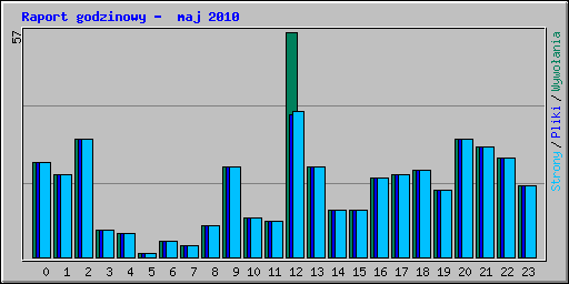 Raport godzinowy -  maj 2010