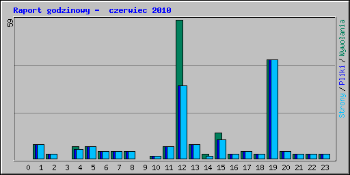 Raport godzinowy -  czerwiec 2010