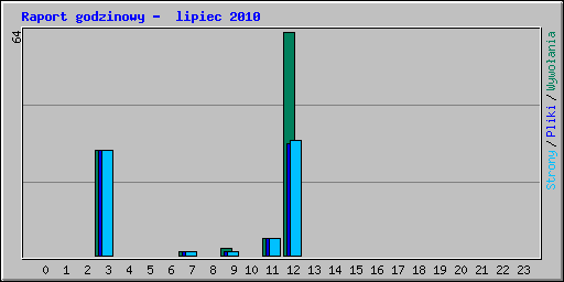 Raport godzinowy -  lipiec 2010