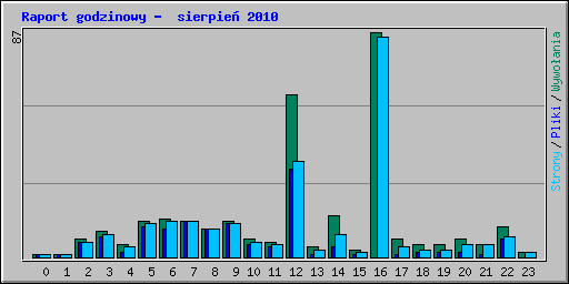 Raport godzinowy -  sierpie� 2010