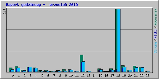 Raport godzinowy -  wrzesie� 2010
