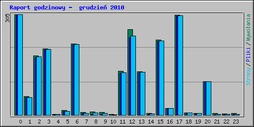 Raport godzinowy -  grudzie� 2010