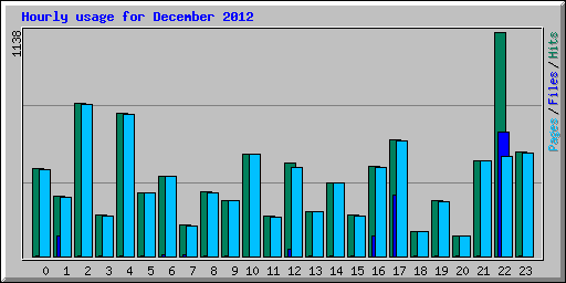 Hourly usage for December 2012