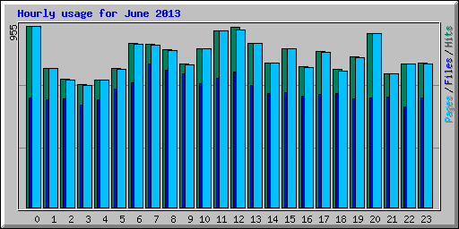 Hourly usage for June 2013