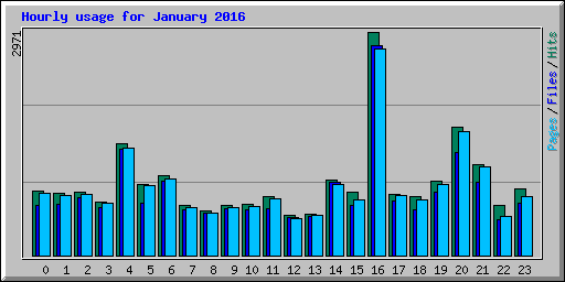 Hourly usage for January 2016