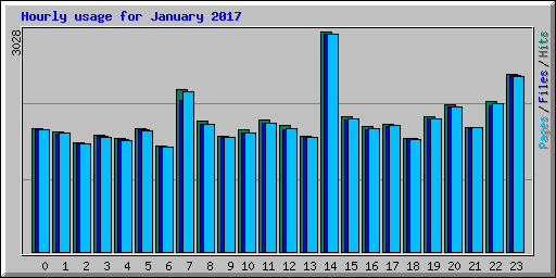 Hourly usage for January 2017