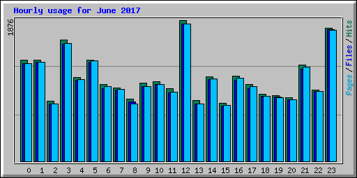 Hourly usage for June 2017