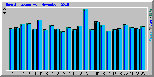 Hourly usage for November 2019